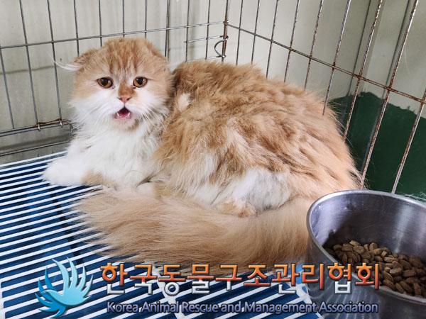 한국동물구조관리협회_411311202300514